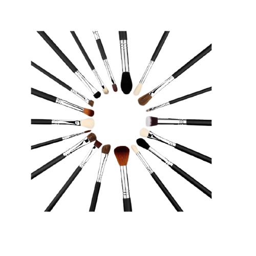 19 PCS PROFESSIONAL BRUSH SET W/ BLACK BAG.