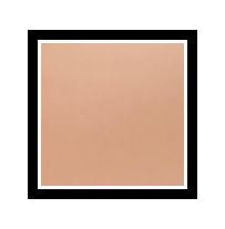DUAL BLEND PERFECT FOUNDATION POWDER