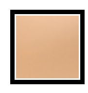 DUAL BLEND PERFECT FOUNDATION POWDER
