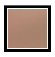 DUAL BLEND PERFECT FOUNDATION POWDER