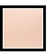 DUAL BLEND PERFECT FOUNDATION POWDER