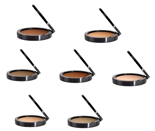 DUAL BLEND PERFECT FOUNDATION POWDER